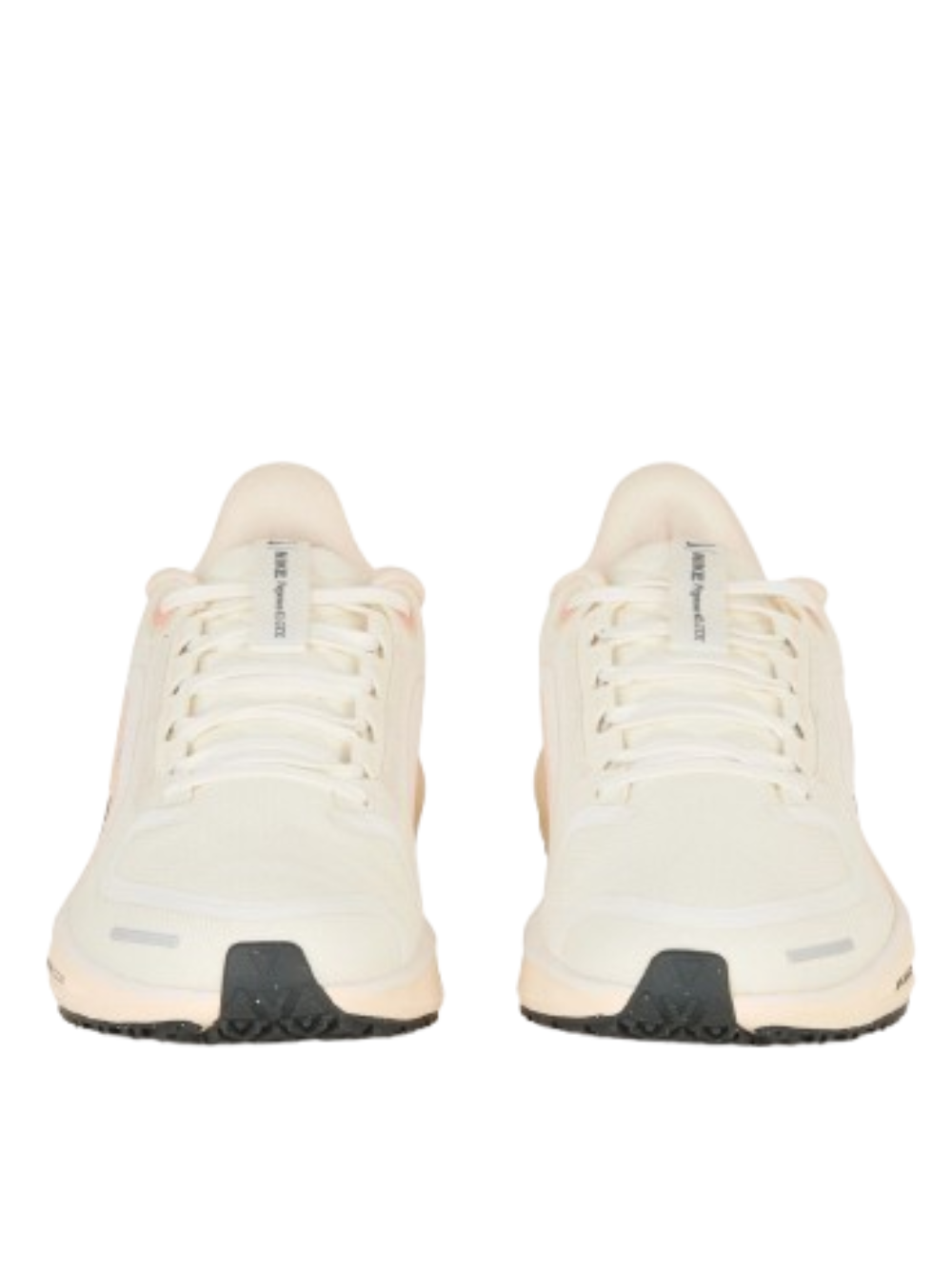 Nikee Air Zoom Pegasus 41 GORE TEX Sail Guava Ice