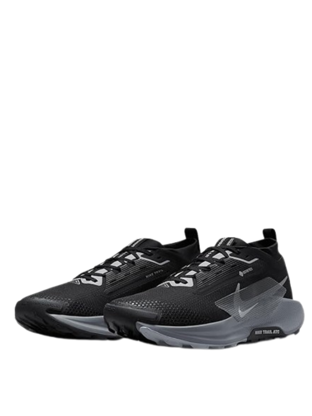 Nikee Pegasus Trail 5 GoreTex Black Grey