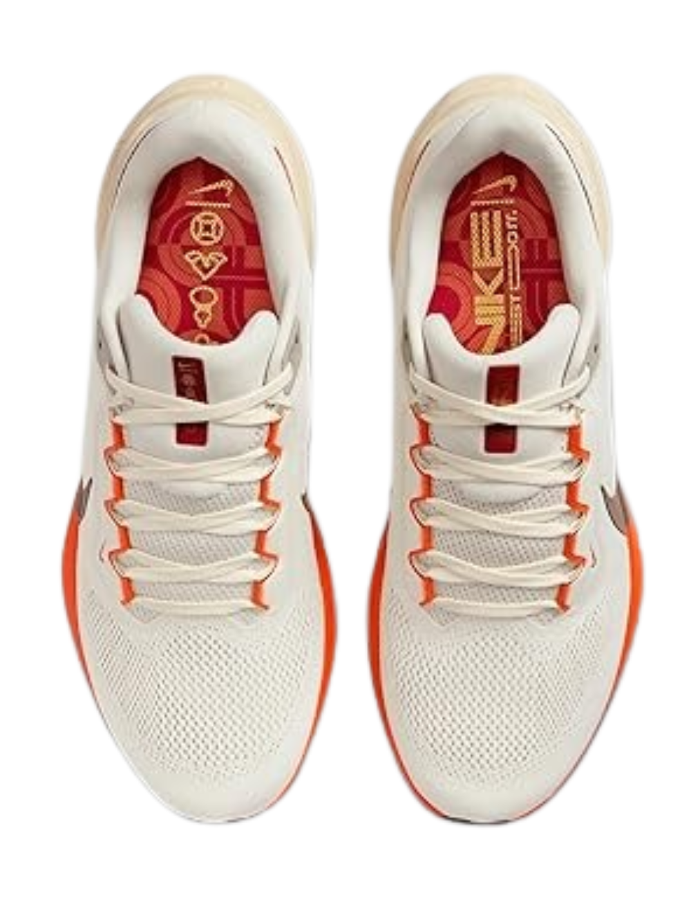 Nikee Zoom Pegasus 41 "Just Do It"