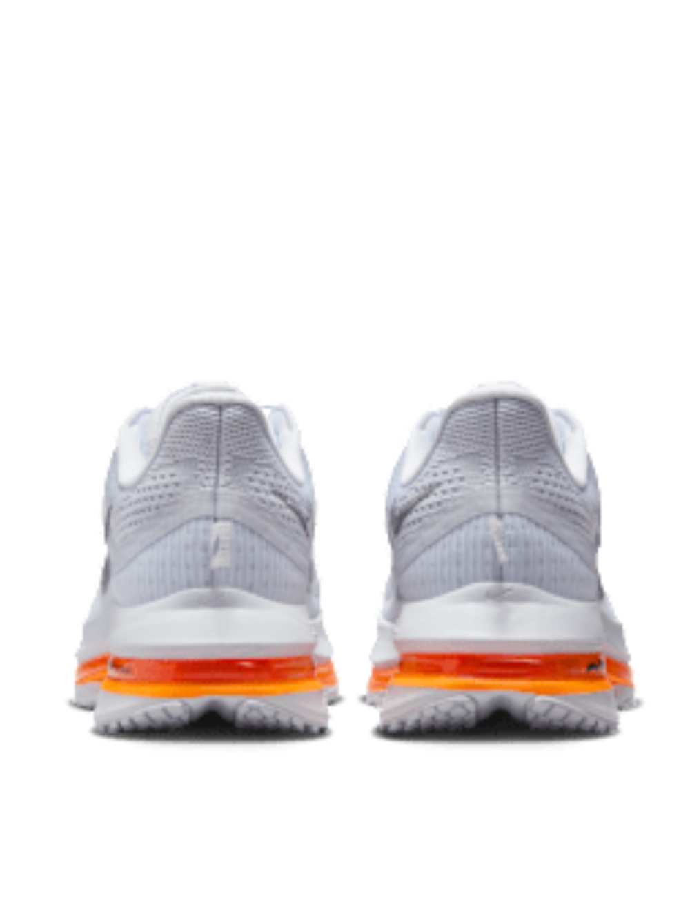 Nikee Air Zoom Pegasus Premium Airscape