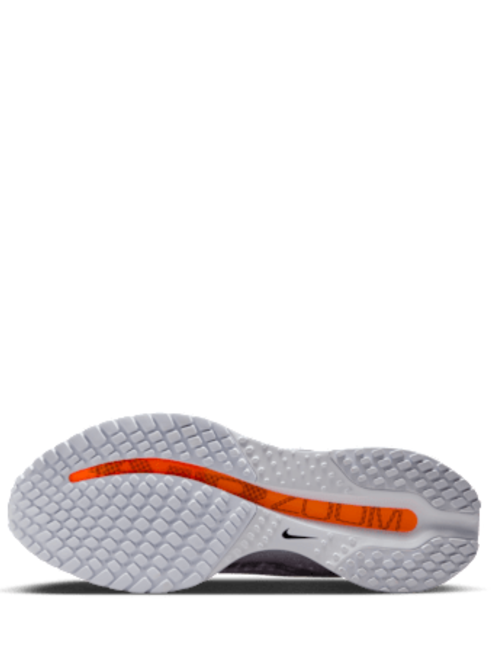 Nikee Air Zoom Pegasus Premium Airscape
